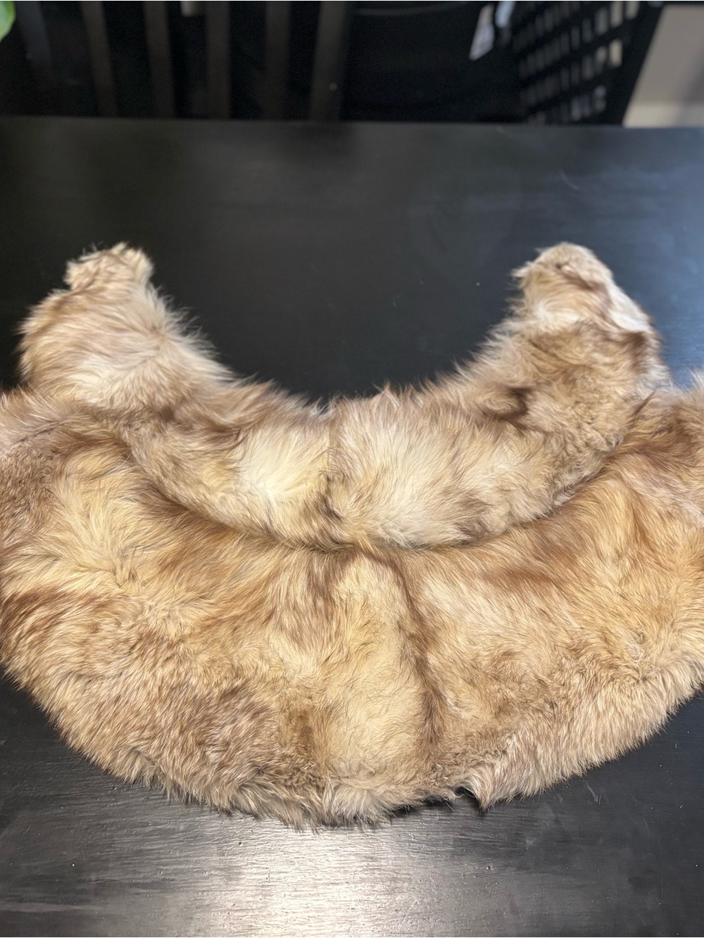 Vintage Russian Authentic Snow Fox Fur Collar - Golden Brown